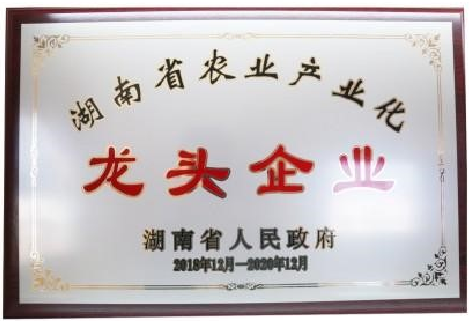 龙头企业